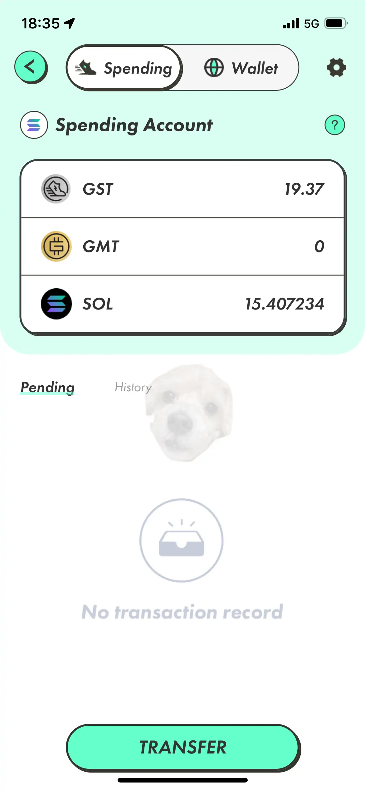 스테픈 신발 판매 완료