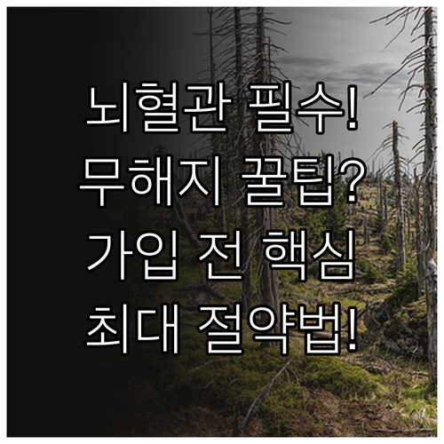 뇌혈관질환 보험 가입 시 무해지 환급..