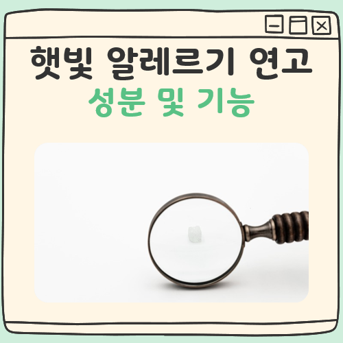 햇빛 알레르기 연고 대표 이미지