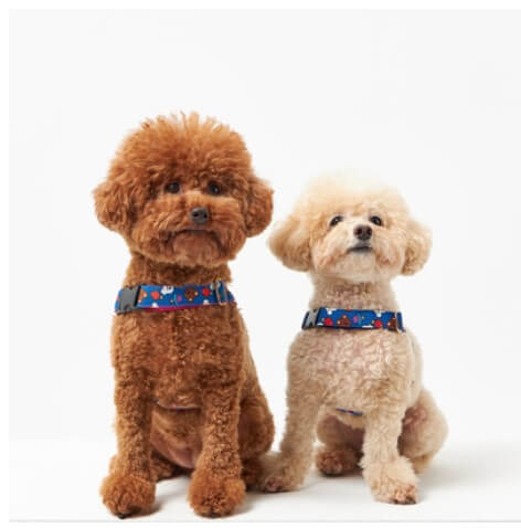 2024 크리스마스 서울 펫쇼 사전등록 입장료 주차 안내