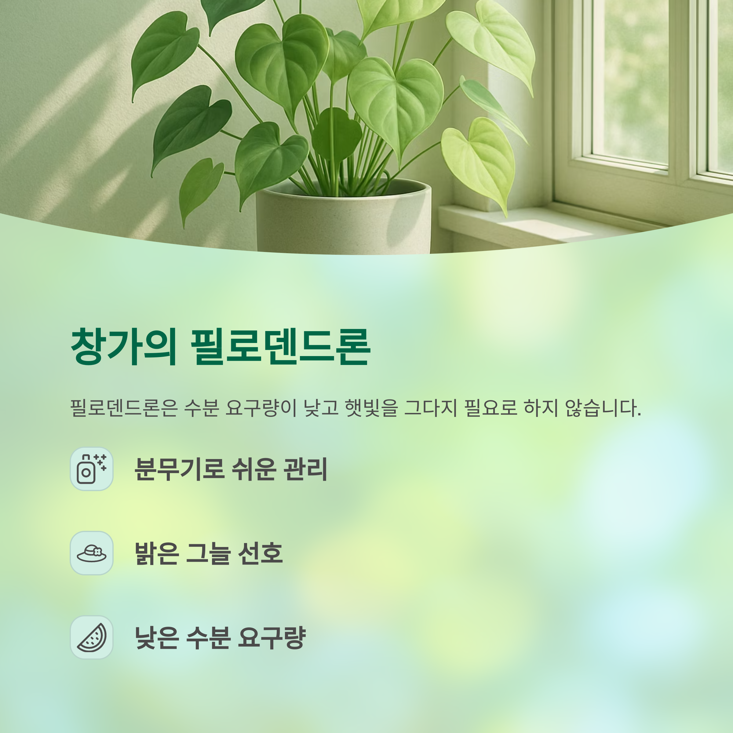 창가의 피로덴드론
