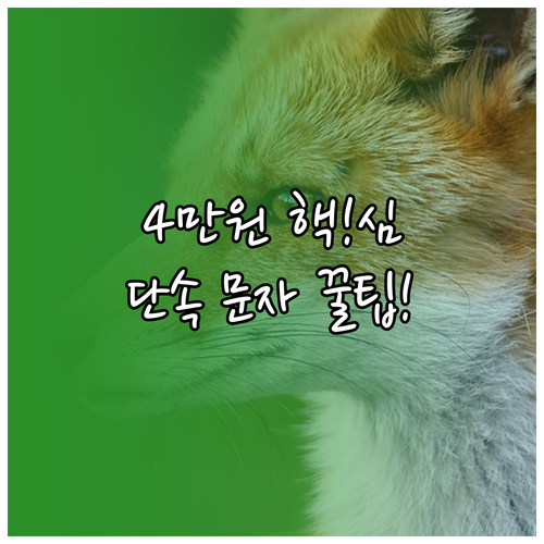 영등포구 주정차 단속 문자 신청으로 ..