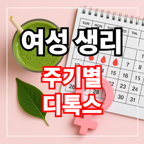 여성 장 건강과 생리 주기 – 디톡스 타이밍은 따로 있다 썸네일 이미지