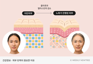 피부콜라겐