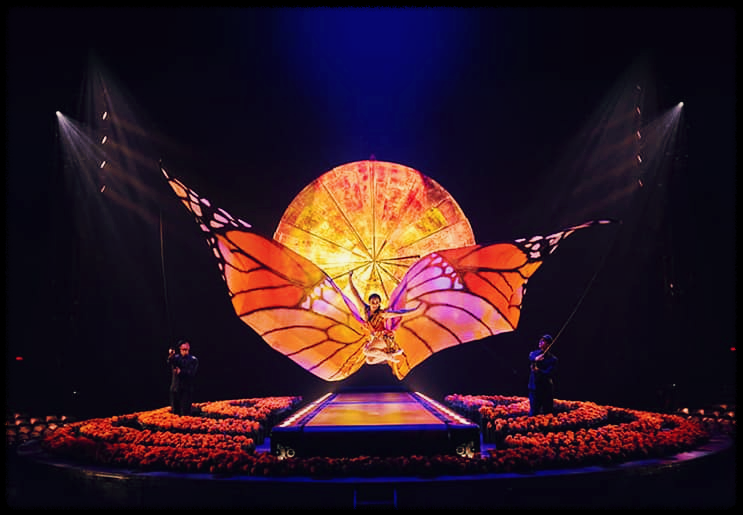 태양의 서커스 루치아