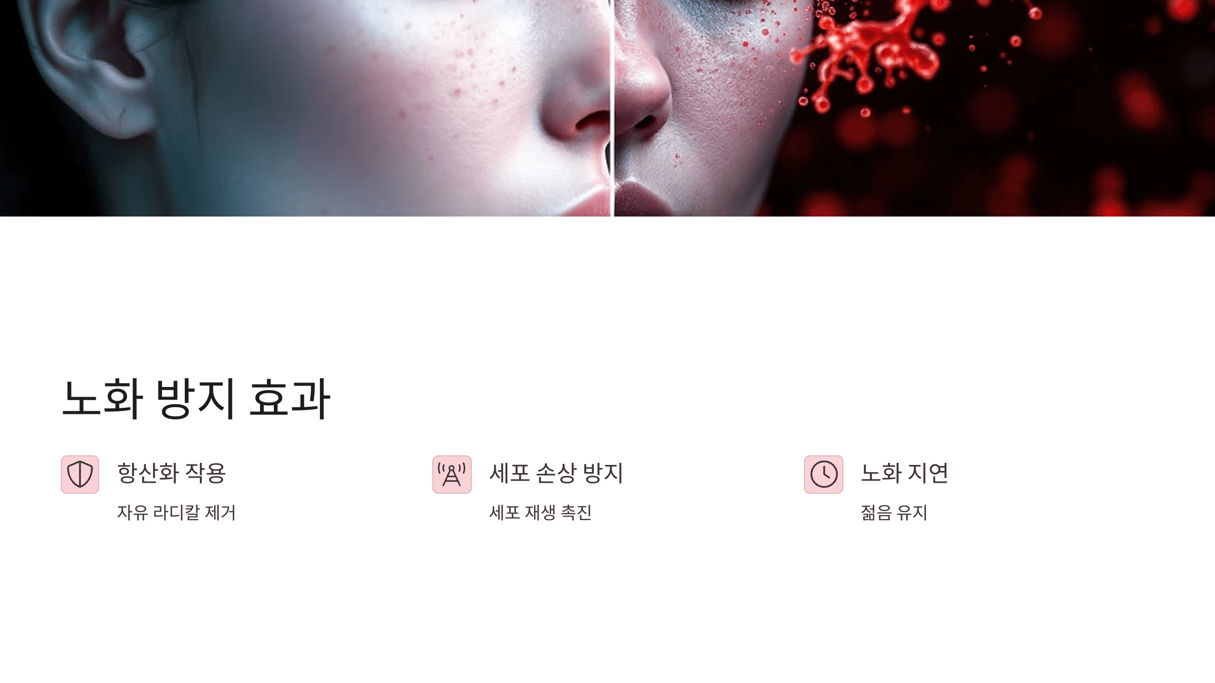 오미자 사진입니다.