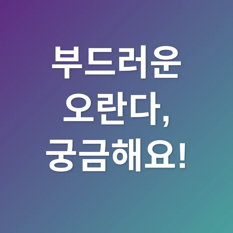 부드러운 오란다_4