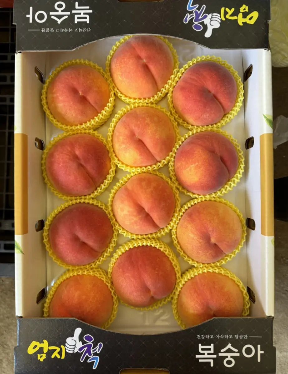 딱복소녀 - 복숭아 선물세트