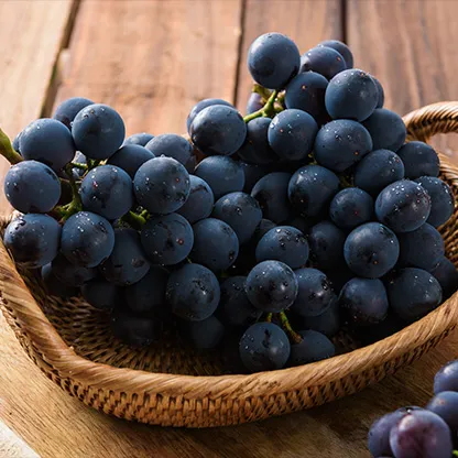 머루포도 효능키우기제철머루포도주 담그기먹는 방법보관 방법 안내_7