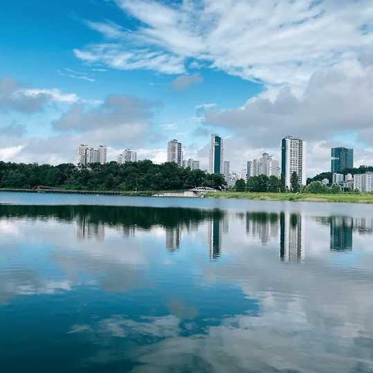 광교호수공원 꽃빛단지