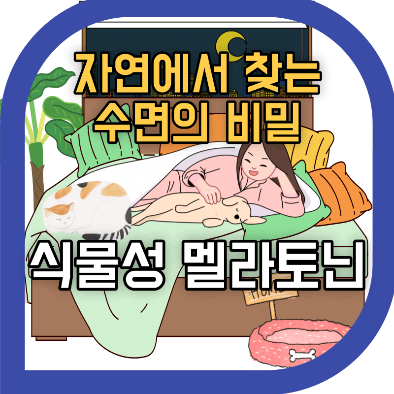 양질의 수면을 나타내는 이미지