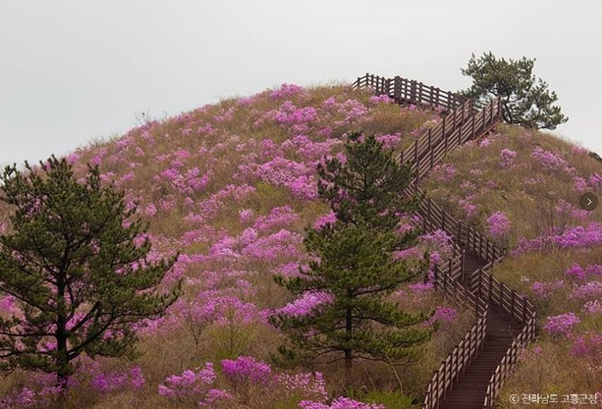 고흥 가볼만한곳 베스트 10