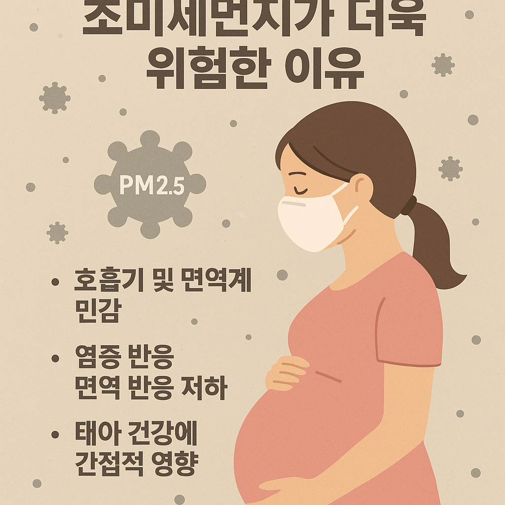 초미세먼지가 임산부에게 더 위험한 이유