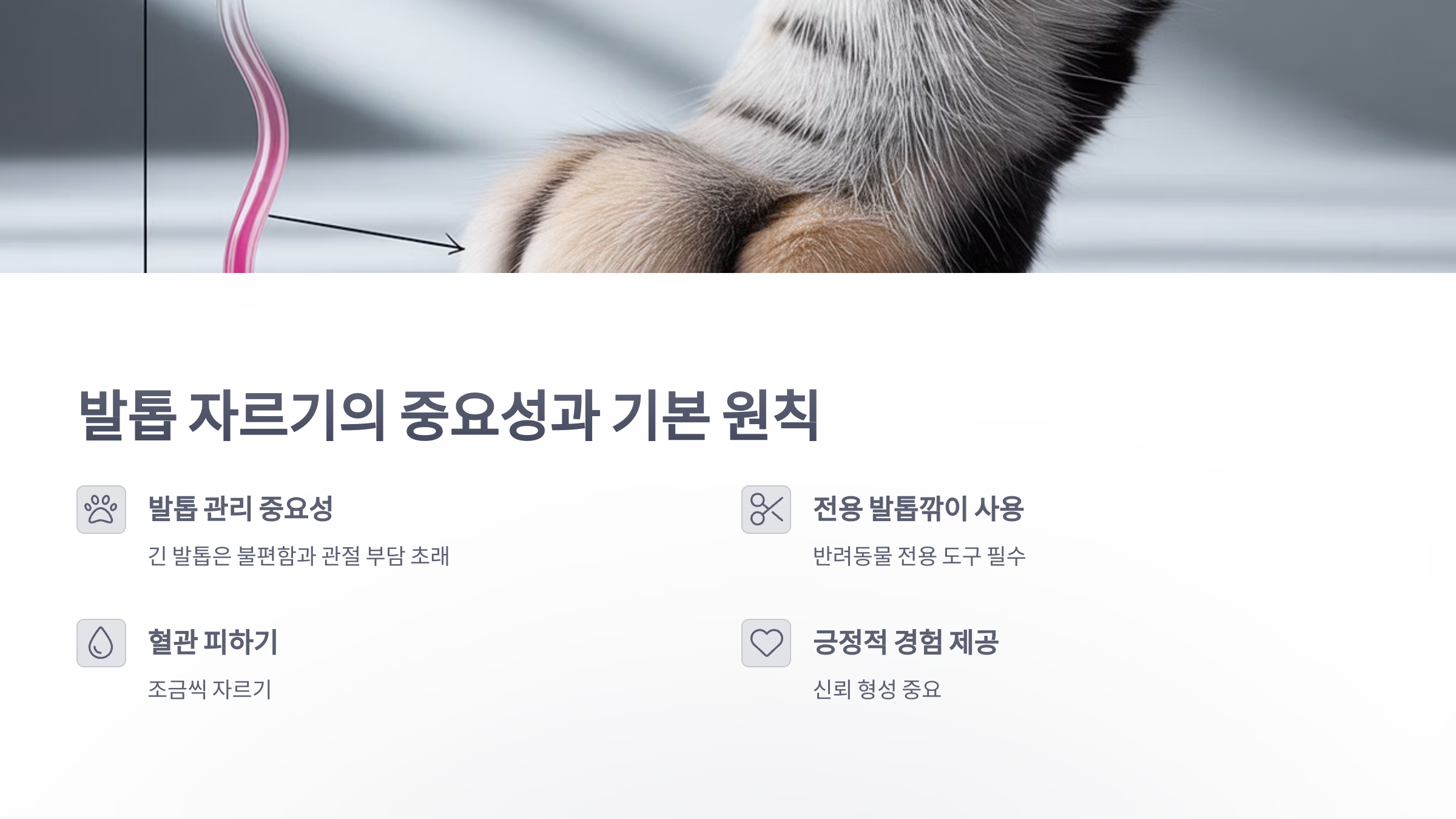 참조-반려동물,-발톱-자를때-유의사항-2