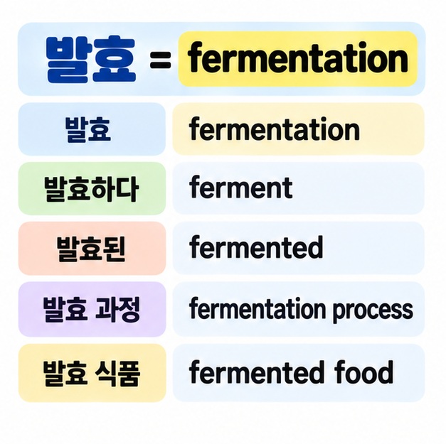 발효는 fermentation, 발효하다는 ferment, 발효된은 fermented라고 품사별로 정리한 카드