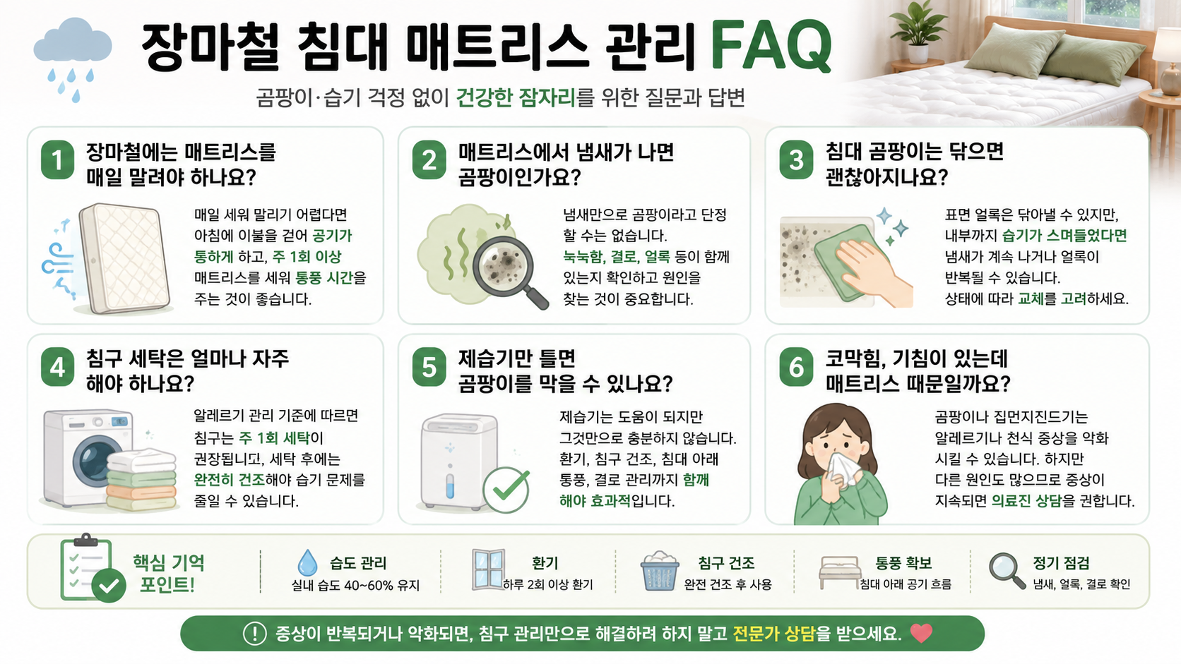 침대 곰팡이 예방하는 방법, 장마철 침구 위생 체크리스트