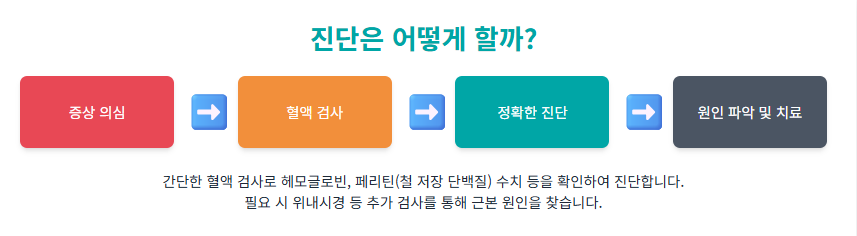 빈혈 어지러움 증상 철결핍성 자꾸 어지럽고 피곤하다면? 검사 치료 병원