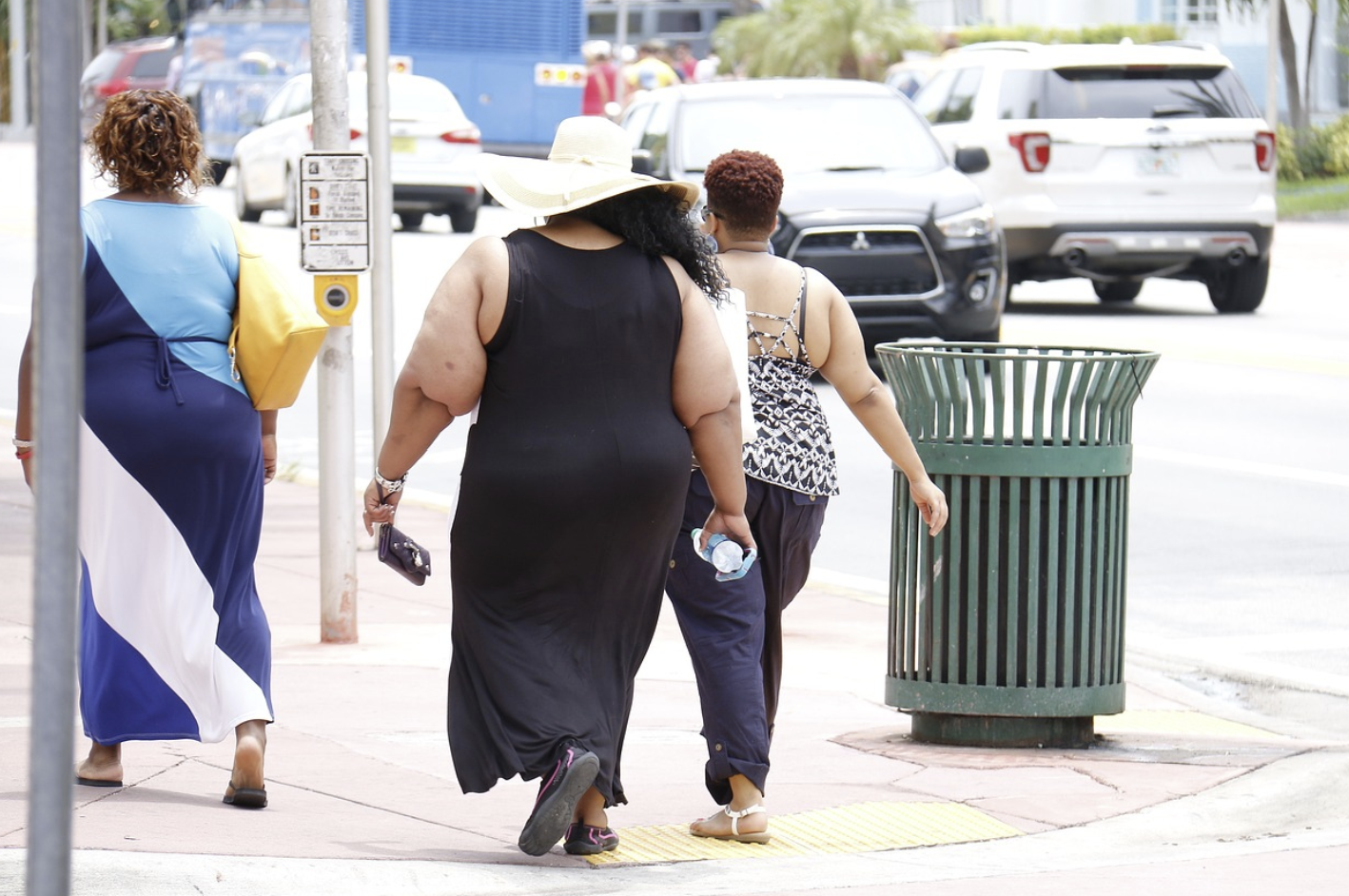 비만인 사람들의 뒷모습