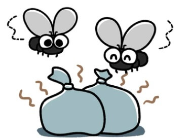 음식물-초파리그림