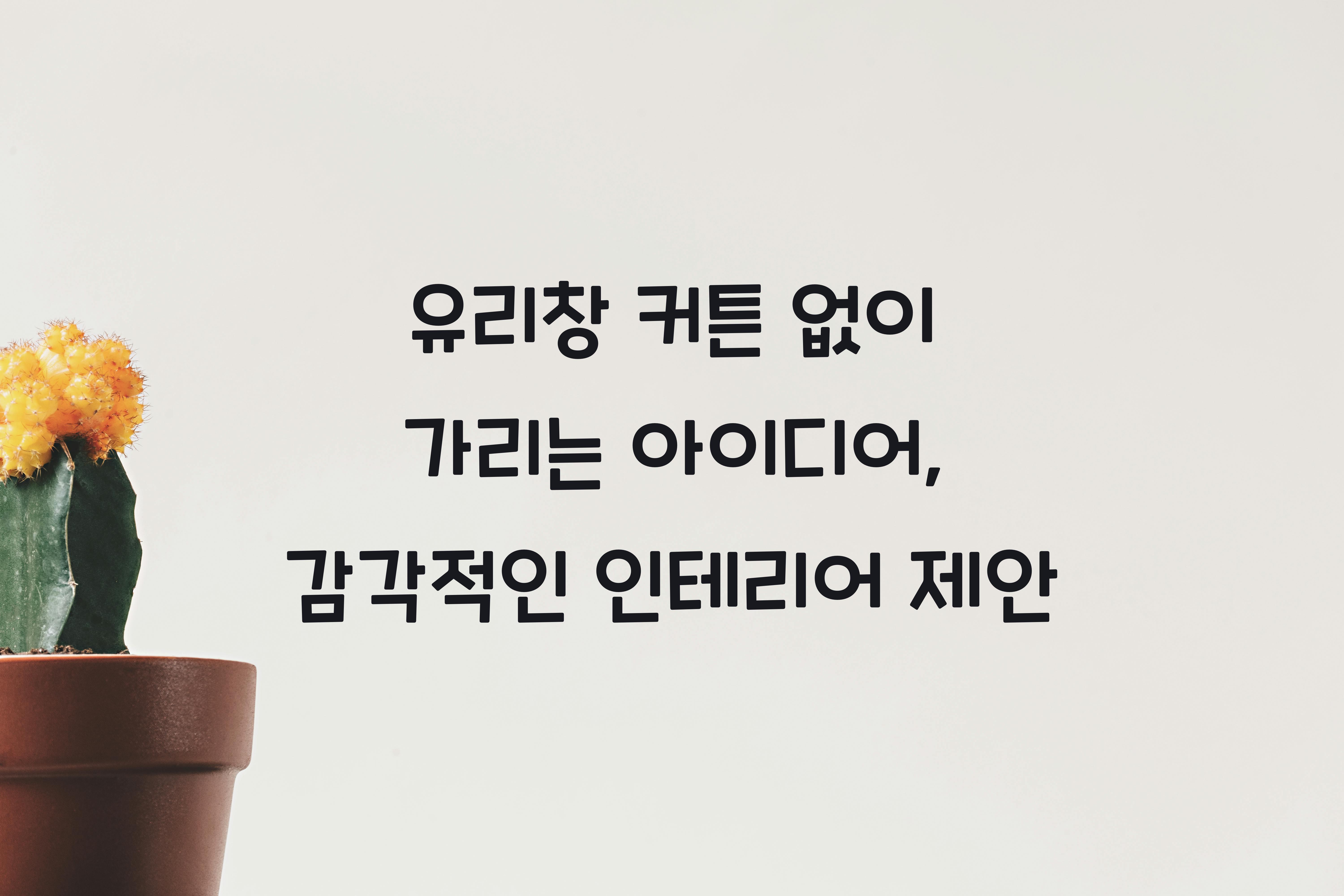 유리창 커튼 없이 가리는 아이디어