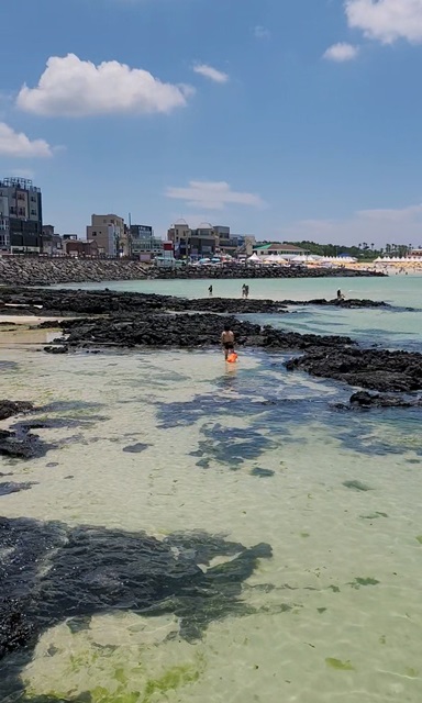 제주서쪽여행-스노클링-3대장-월령포구-협재해수욕장-금능해수욕장