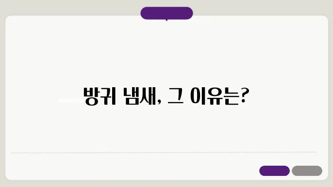 방귀 냄새가 심한이유