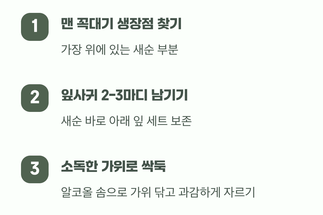 과감한 첫 컷, 어디를 잘라야 할까?