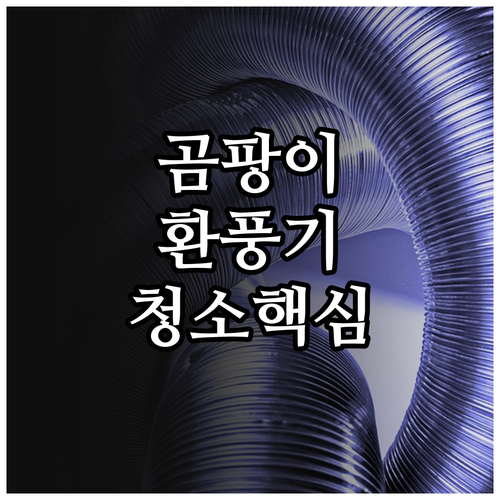화장실 곰팡이 예방하는 환풍기 청소법..