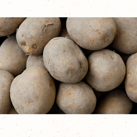 첫 흙돋움 작업 단계