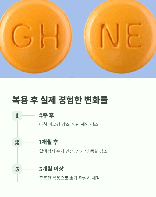 복용 후 실제 경험한 변화들