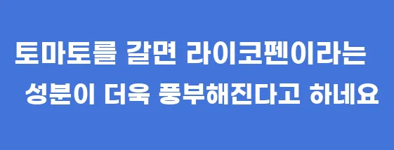 토마토를 갈면 라이코펜이라는 성분이 더욱 풍부해진다고 하네요
