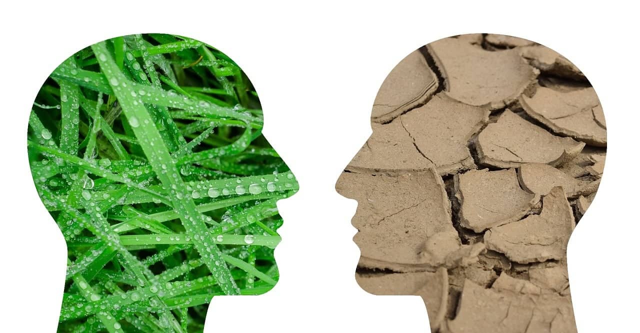 기후 변화가 인간의 정신 건강에 미치는 심리학적 영향