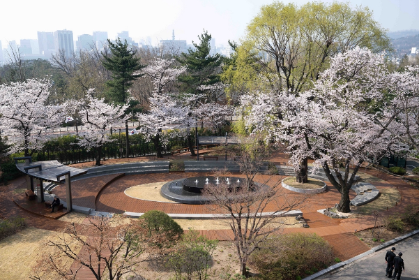 청와대 관람 신청 청와대 관람 예약 주차장 총정리