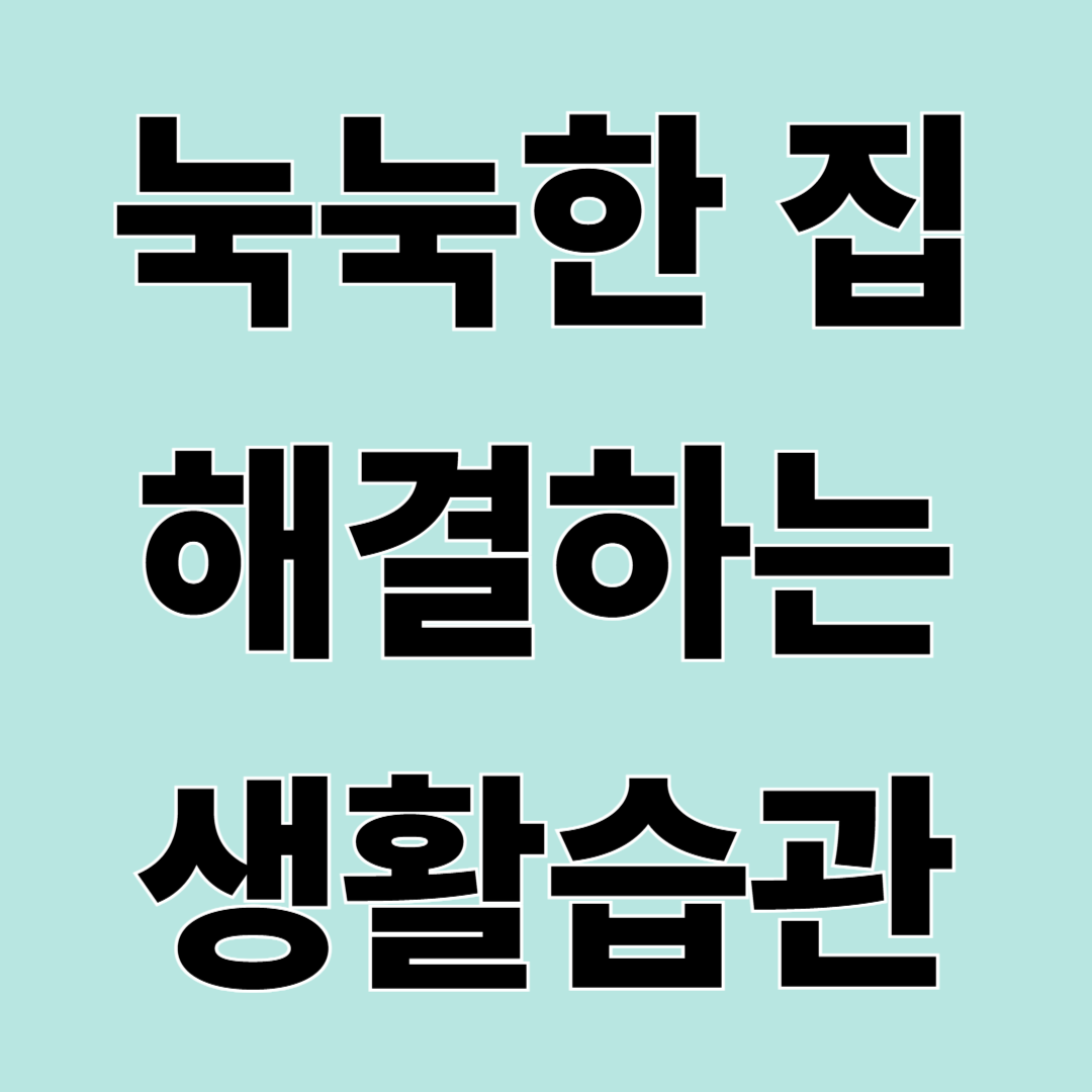 집안 습도 관리 방법, 장마철 꿉꿉함과 곰팡이 줄이는 팁
