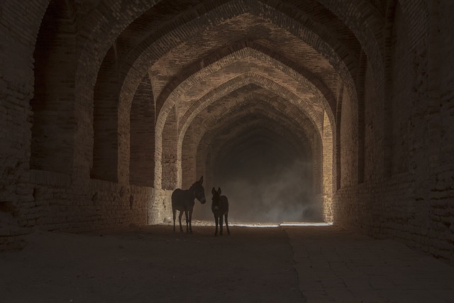 뇌의 공간 지각 능력