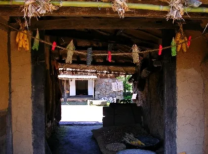 조선시대 산후조리 풍습 여성 건강 동의보감_4