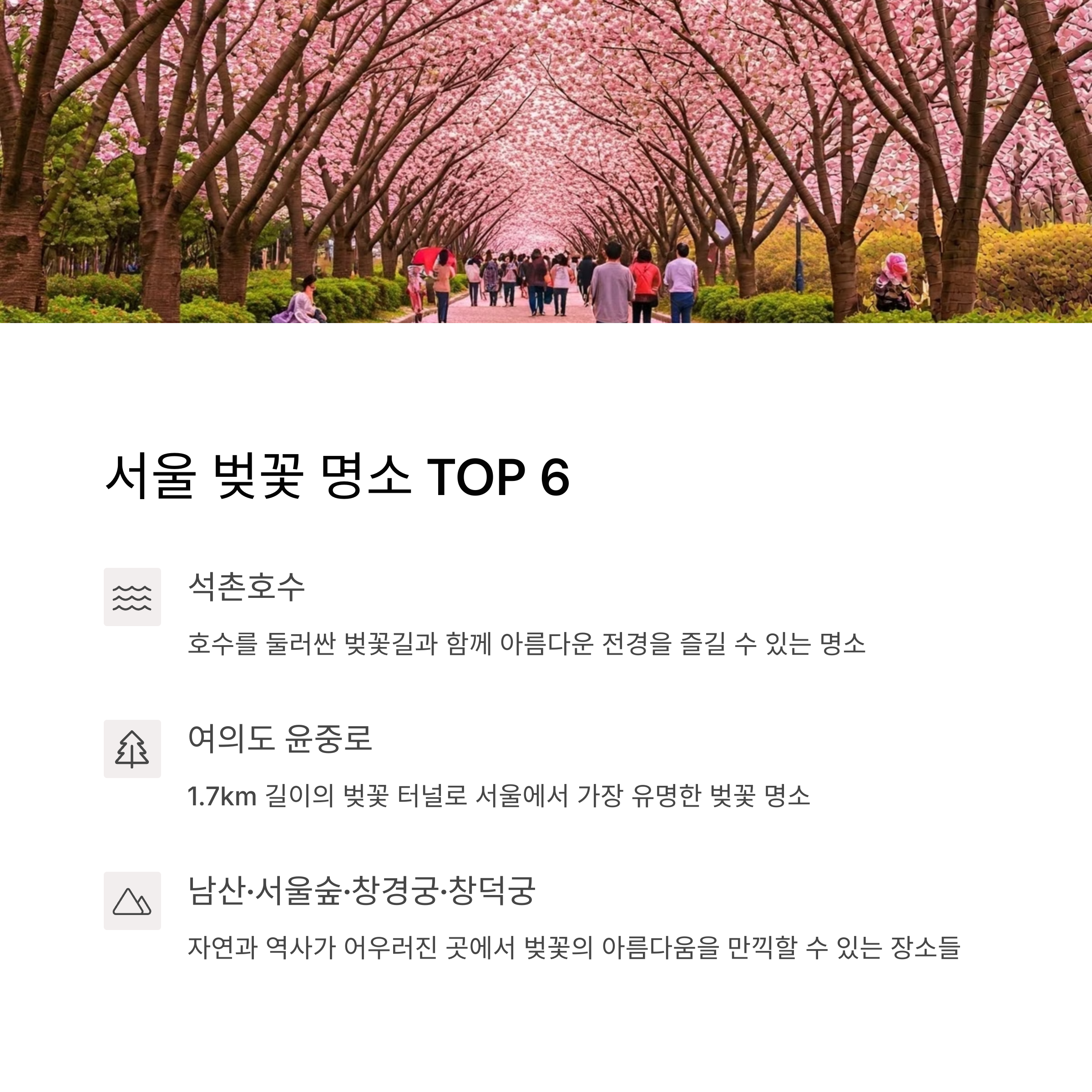 서울인천벚꽃