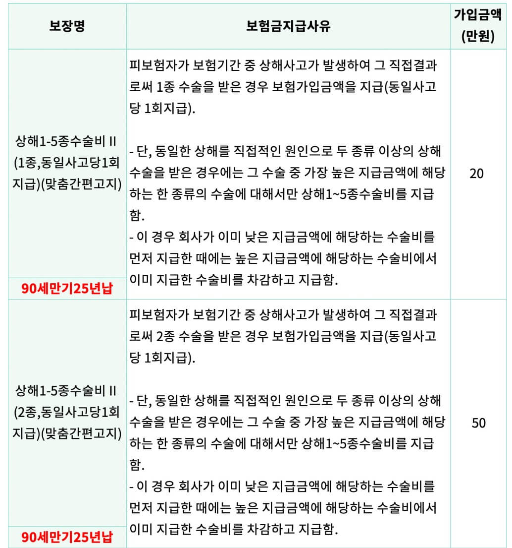 보장내용