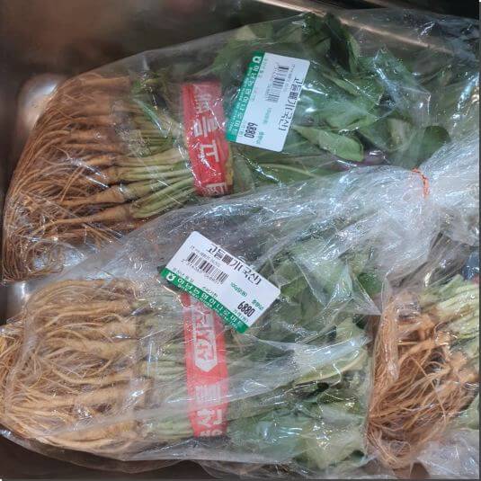 농협에서 파는 국산 고들빼기