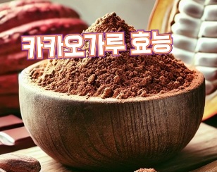 카카오-가루-효능