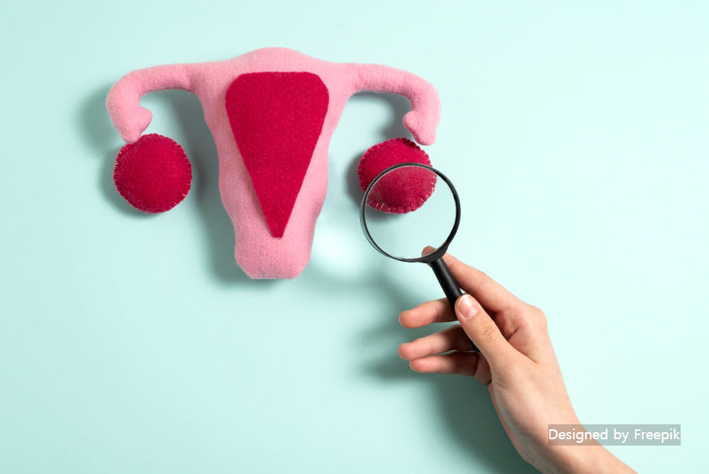 착상혈 나오는 시기