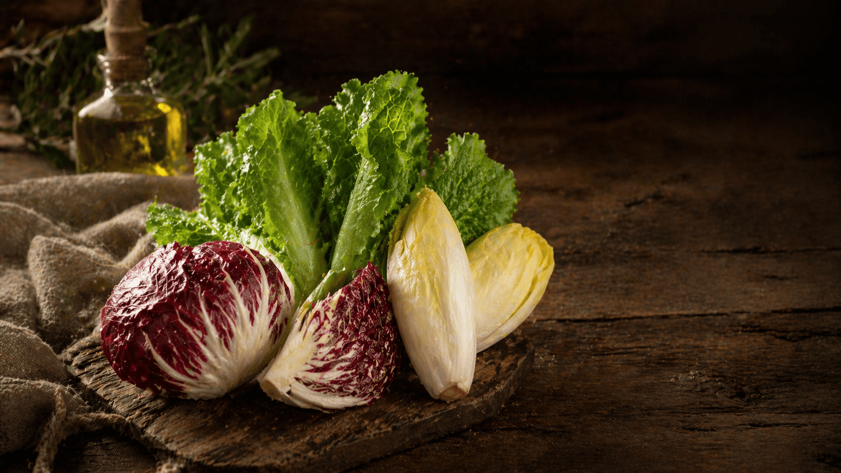 유럽 치커리 종류와 지역별 특징