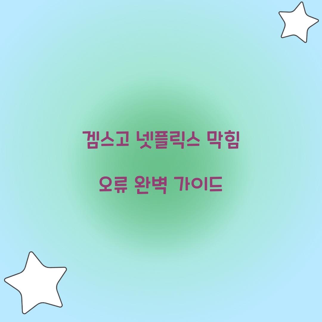 겜스고 넷플릭스 막힘 오류