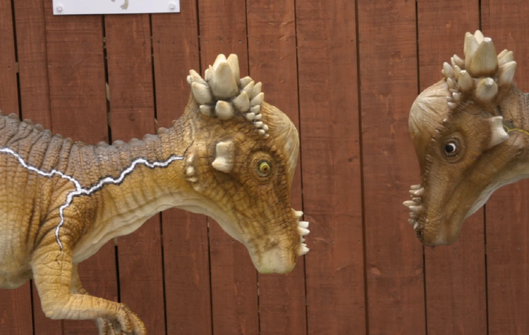 우석헌 자연사박물관