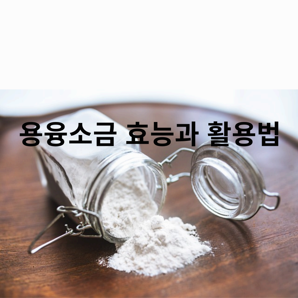 용융소금-효능과-활용법