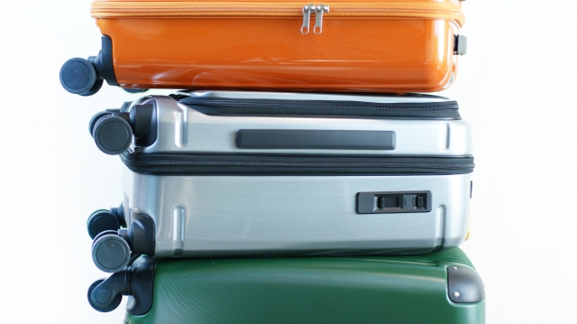 JAL(일본항공) 수하물(수화물) 규정 총정리(무료 위탁 수하물, 유모차, 악기, 골프백, 서핑 장비, 애완동물, 기내반입)