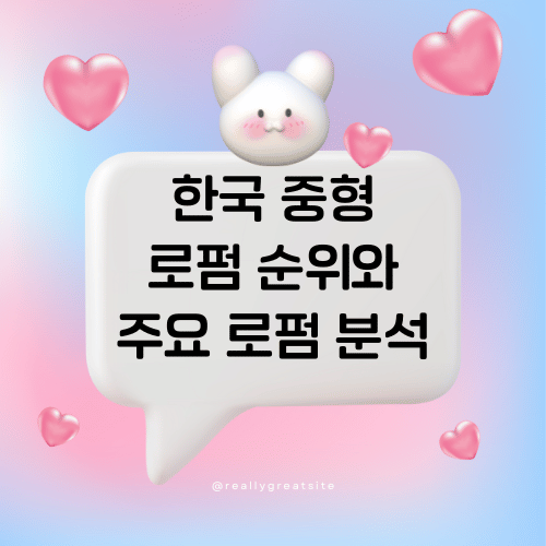 한국 중형 로펌 순위와 주요 로펌 분석