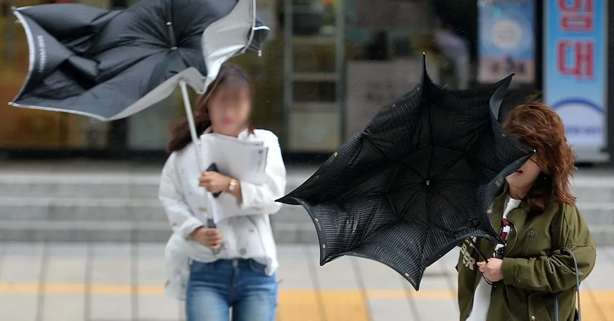 장마 대비 필수 체크리스트-강풍