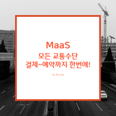 MaaS 개념 및 기대효과