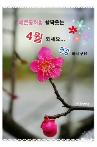 2025년 4월 달력 바탕화면 이미지 모음_12